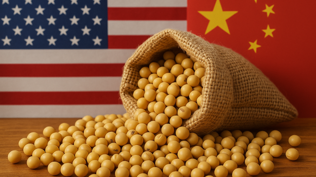 China’s soybean demand for US slows despite trade breakthrough