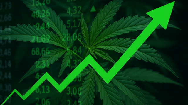 Cannabis stocks surge as Trump signals shift on US marijuana policy